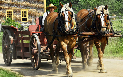 Wagon Riding